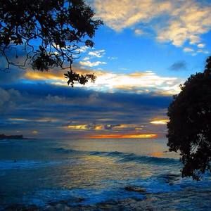 Meet your Posher, Annette